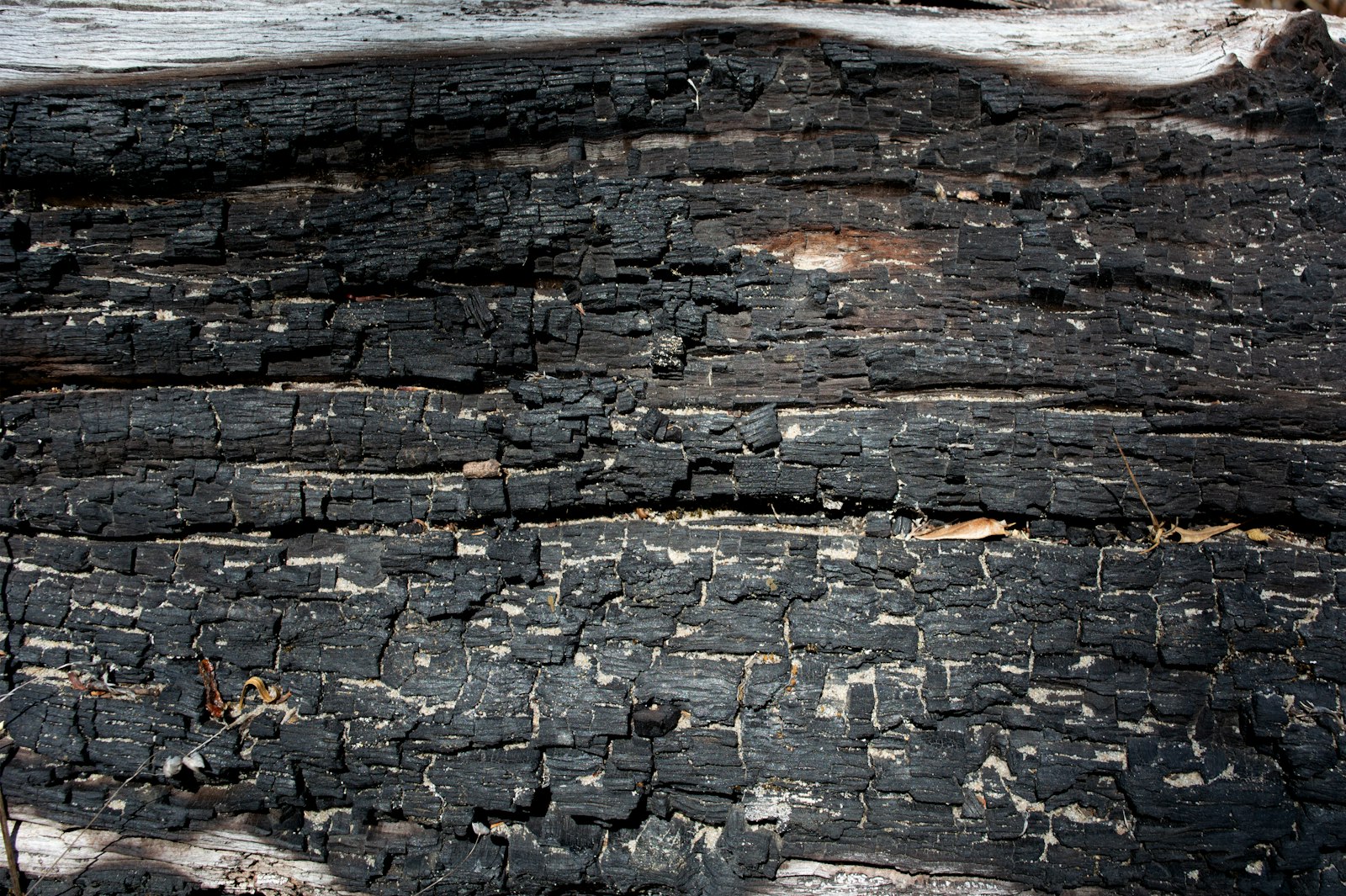 Fire and smoke damage inside an Edgewater, FL home